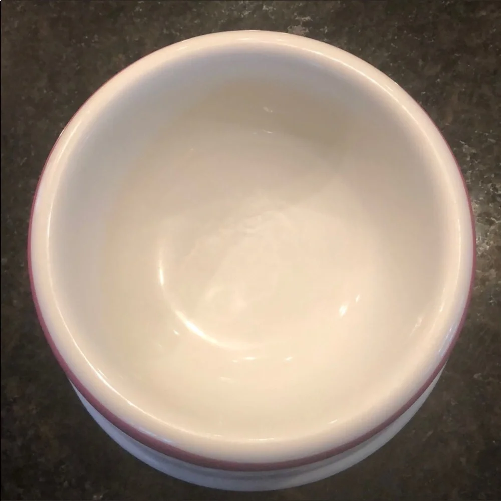 RARE Pink Victoria’s Secret Ceramic dog bowl